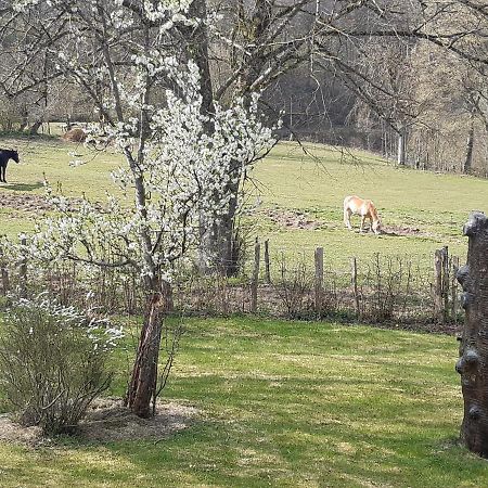 Maison Vintage Ardenne Awenne Esterno foto