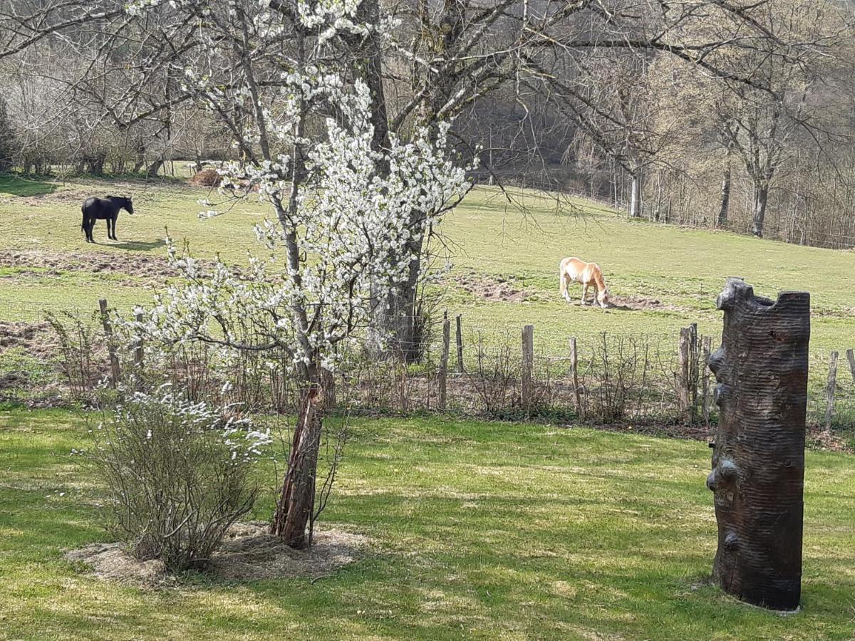 Maison Vintage Ardenne Awenne Esterno foto